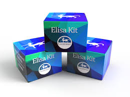 Human NTX ELISA Kit 